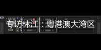 快排公司十年历程，霸屏兔 seo 的崛起与坚守