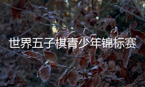 参赛选手被划分为两个大组