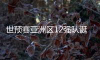 世预赛亚洲区12强队诞生！中日韩澳伊齐聚