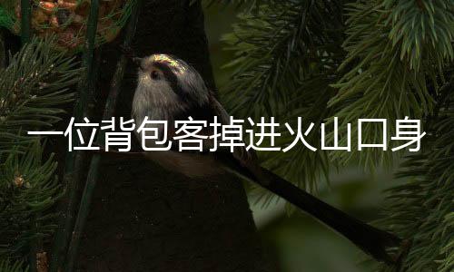位背亡前外援她周六摔倒