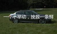 一个小举动，挽救一条鲜活生命！珠海504名快递员化身"城市哨兵"