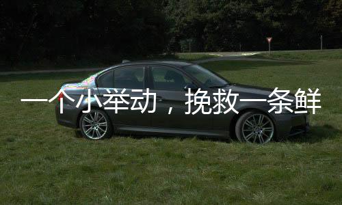 挽救积极践行了“小哥在路上