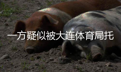 反而是寻找本土教练马林