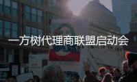 一方树代理商联盟启动会	：展示健康艺术板材，引领家居市场新潮流