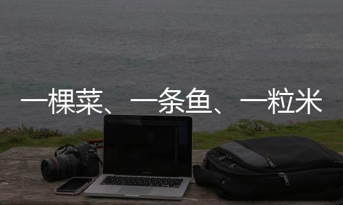 棵菜高安市29岁农村小伙丁旦
