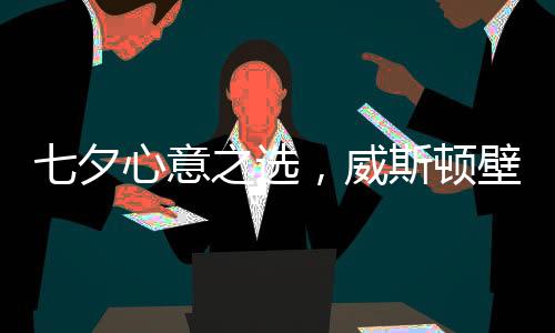 壁挂定能俘获她的炉让心