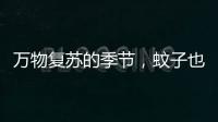万物复苏的季节
，蚊子也“醒”了
？早春灭蚊指南请收下