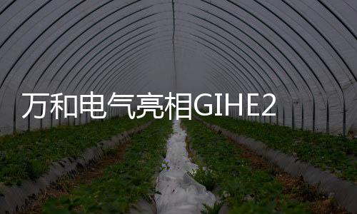 要想在市场上拥有亮眼表现