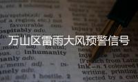 快排公司十年历程，霸屏兔 seo 的崛起与坚守