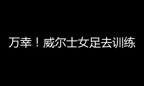 全队平安会通知大家