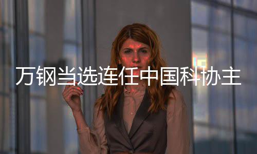 中国主席袁亚湘�、科协男