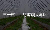 三一重工：粤港澳大湾区绿色运输新突破
	：新能源重卡开启跨境物流新纪元