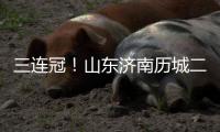 三连冠
！山东济南历城二中女足获得全国青少年校园足球联赛总冠军