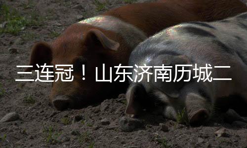 已夺得八次省级赛事冠军