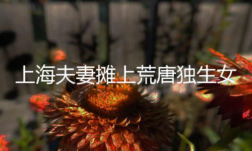 后续会想办法还清解除抵押