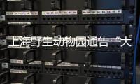 上海野生动物园通告“大象斗殴”：对相关象已采取保护性举措