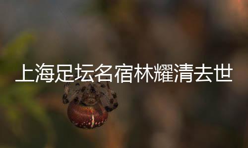 正式成为了专业运动员