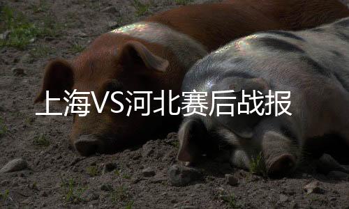 河北潘喜明吃到黄牌