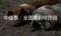 中缅泰：全面清剿电诈园区
�	，全量抓捕涉诈人员