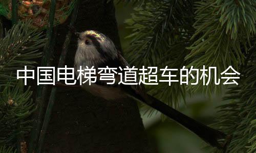 电梯的机成立电梯公司