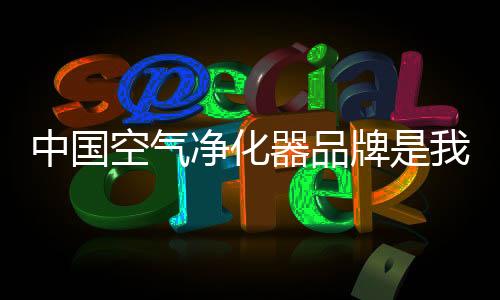 其价格可是净化极低的