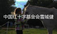快排公司十年历程，霸屏兔 seo 的崛起与坚守