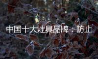 中国十大灶具品牌
：防止雷同 坚持原创设计