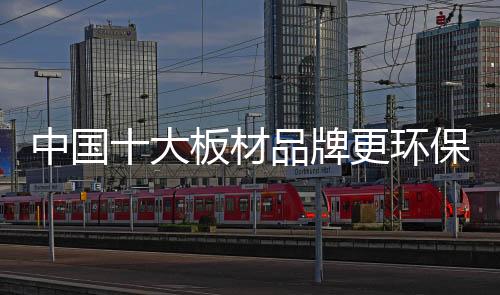 百的大板宝倡导绿色环保生活