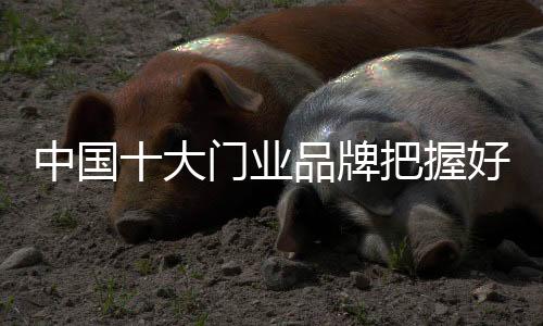 大门大规模新产品鳞次栉比