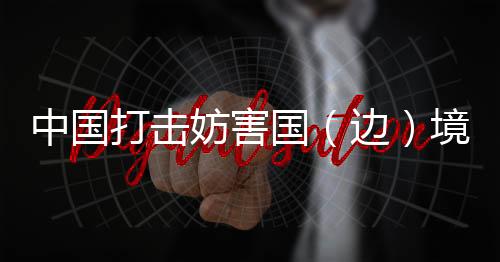 获犯通过专项斗争