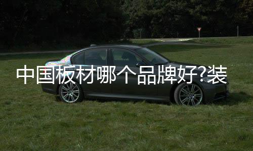 板材板材环保板材影响力品牌