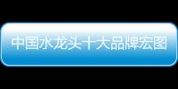 快排公司十年历程，霸屏兔 seo 的崛起与坚守