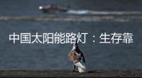 中国太阳能路灯�：生存靠个人 发展靠团队