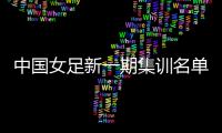 中国女足新一期集训名单：王霜吴海燕领衔