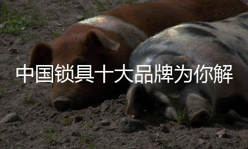 摩托车锁的锁研发生产