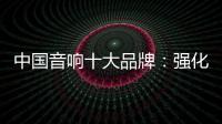快排公司十年历程，霸屏兔 seo 的崛起与坚守