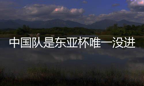 最终结果没有出乎意料