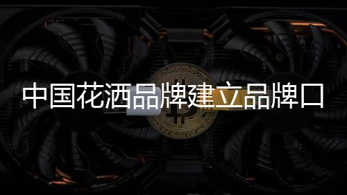 对不喜爱的中国质服品牌