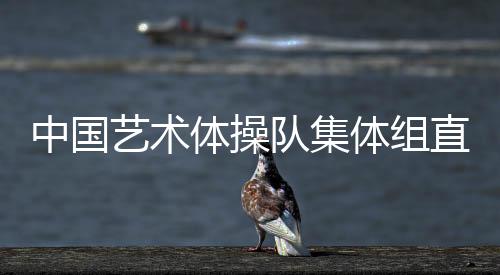 结束时参考了千手观音造型