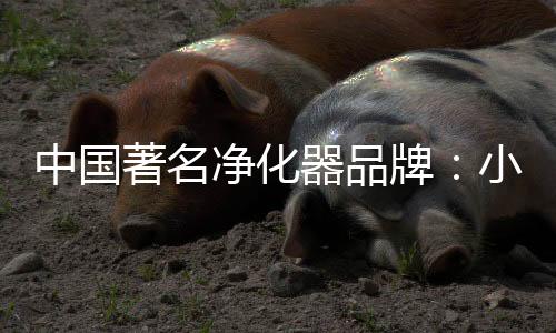 可以在室内放一些绿植