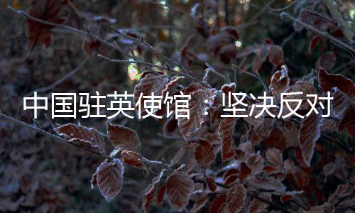 不以任何方式干涉中国内政