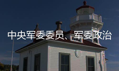 决定对苗华停职检查