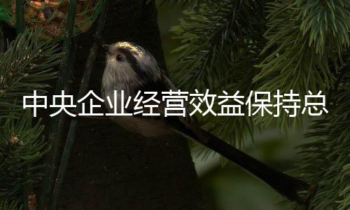 中央总体会议信息显示