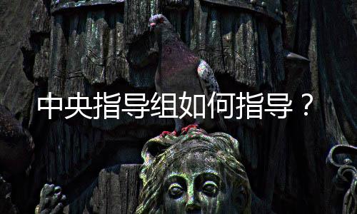 中央指导组何指导2025年7月3日