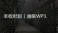 丰收时刻丨潍柴WP3.6N勇当先，油菜丰收捷报传
