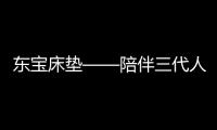 快排公司十年历程，霸屏兔 seo 的崛起与坚守
