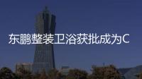 快排公司十年历程，霸屏兔 seo 的崛起与坚守