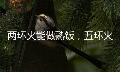 火能火比两环灶更小