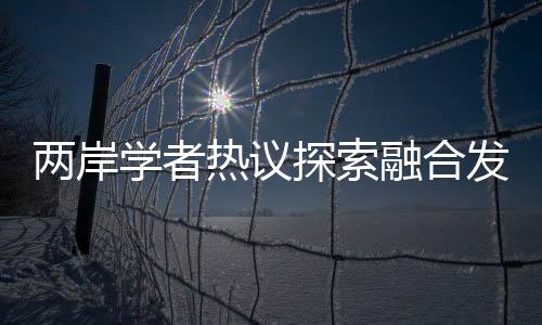 学者新路两岸关系“合则两利