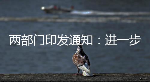 步推加强组织领导和工作协同
